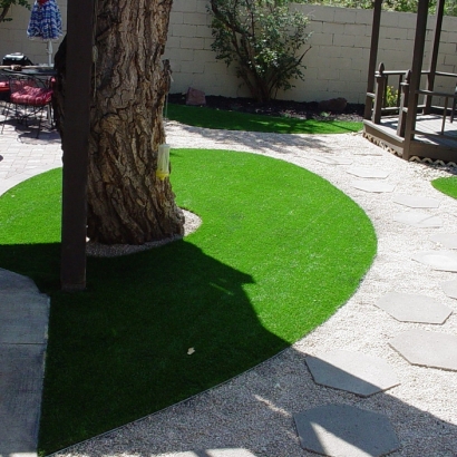 Best Artificial Turf in Pimaco Two, Arizona