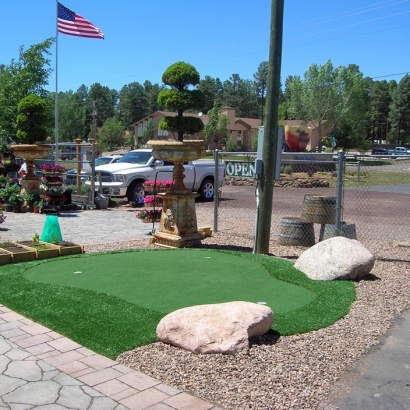 Synthetic Grass Pimaco Two, Arizona Home And Garden, Commercial Landscape