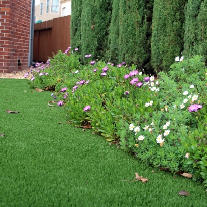 Artificial Turf in Second Mesa, Arizona