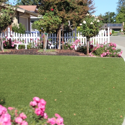 Putting Greens & Synthetic Lawn in Tat Momoli, Arizona