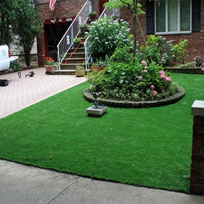 Fake Grass in Greenlee County, Arizona