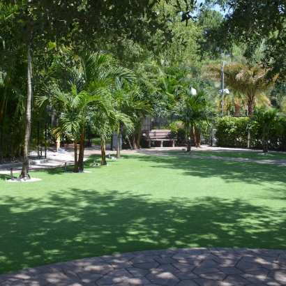 Synthetic Lawn Blackwater, Arizona Landscape Design, Commercial Landscape