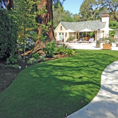 Artificial Turf in Kachina Village, Arizona