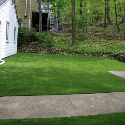 Artificial Turf in Patagonia, Arizona