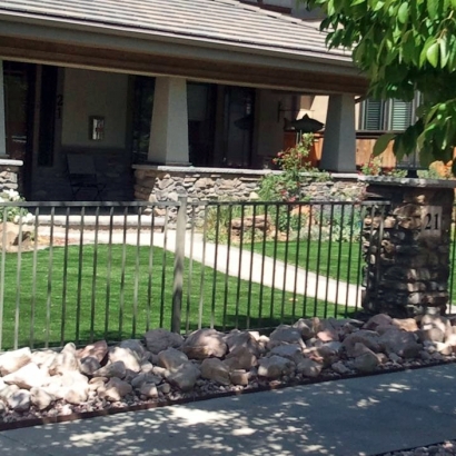 Fake Grass in Picture Rocks, Arizona