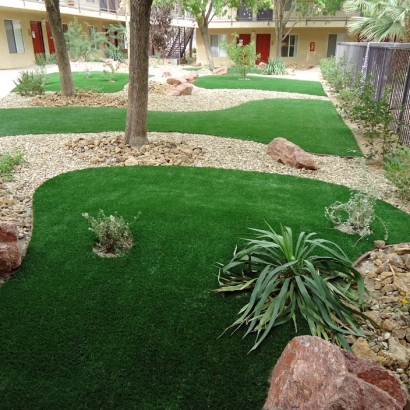 Synthetic Turf Depot in Seba Dalkai, Arizona