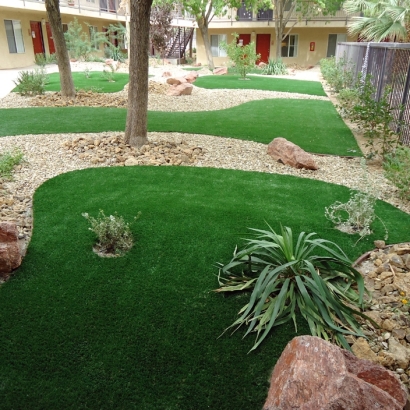 Artificial Turf in Tees Toh, Arizona