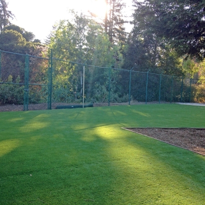 Artificial Turf in East Fork, Arizona