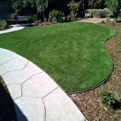 Artificial Turf in Sun Valley, Arizona