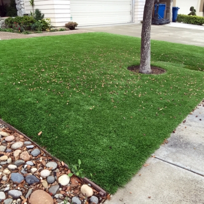 Fake Grass in Greenlee County, Arizona