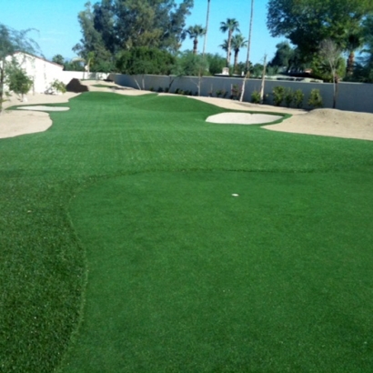 Synthetic Turf in Ali Molina, Arizona