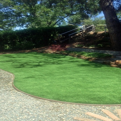 Artificial Grass in Cedar Creek, Arizona