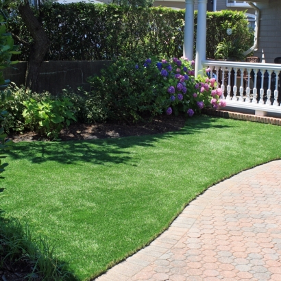 Artificial Turf in Arizona City, Arizona