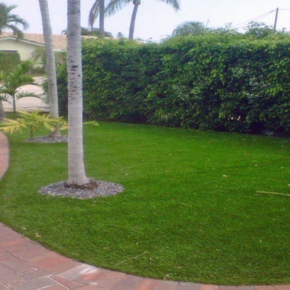 Synthetic Lawns & Putting Greens of Parker, Arizona