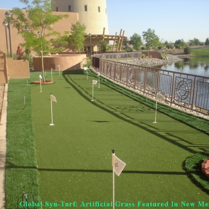 Artificial Turf in Glendale, Arizona