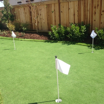 Synthetic Turf Sehili, Arizona Lawns, Backyard Design