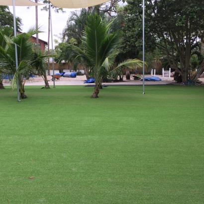 Artificial Turf in Casa Grande, Arizona