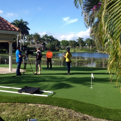 Synthetic Turf Supplier Cave Creek, Arizona Office Putting Green, Backyard Garden Ideas