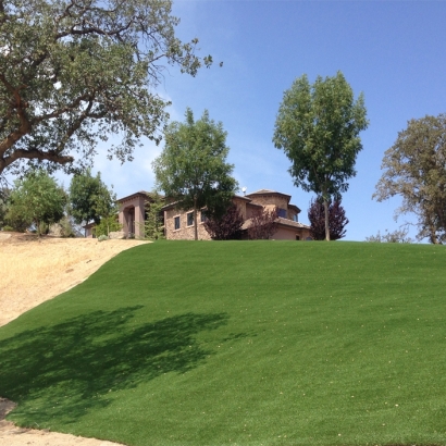 Synthetic Turf in Chiawuli Tak, Arizona