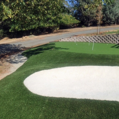 Artificial Turf in Gold Camp, Arizona