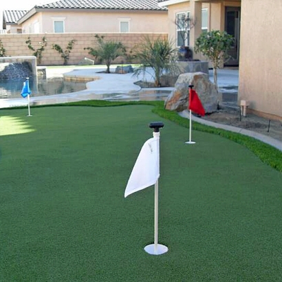 Artificial Grass in Sanders, Arizona