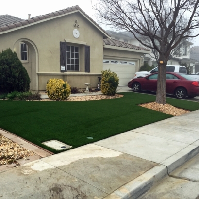 Synthetic Turf Supplier Litchfield Park, Arizona Design Ideas, Front Yard Landscaping Ideas