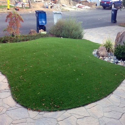 Artificial Grass in Taylor, Arizona