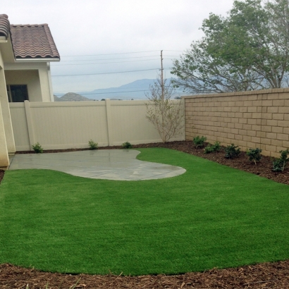 Synthetic Turf Supplier Tempe Junction, Arizona Landscaping Business, Backyard Ideas
