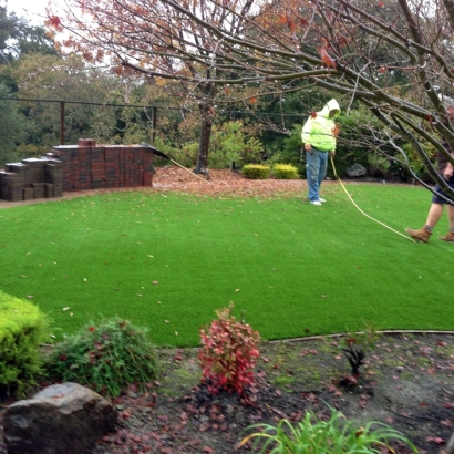 Artificial Turf in Wenden, Arizona