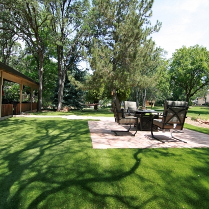 Artificial Grass in Congress, Arizona