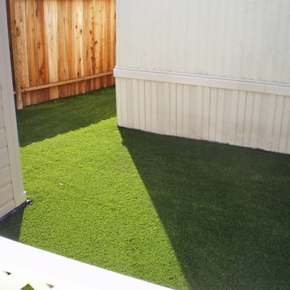 Fake Turf Grass in Valentine, Arizona