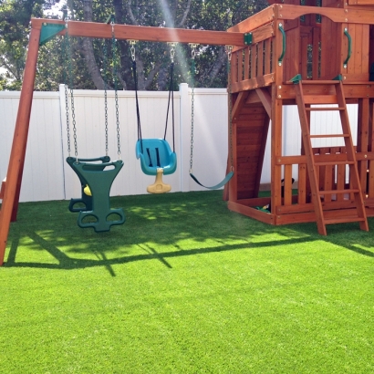 Turf Grass Naco, Arizona Landscaping, Backyard Designs