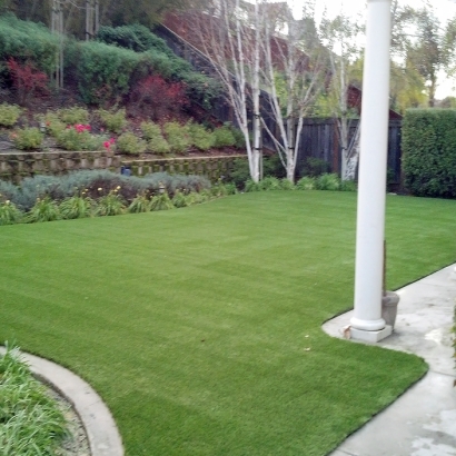 Synthetic Turf in New Kingman-Butler, Arizona