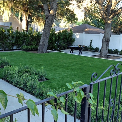 Synthetic Turf in New Kingman-Butler, Arizona