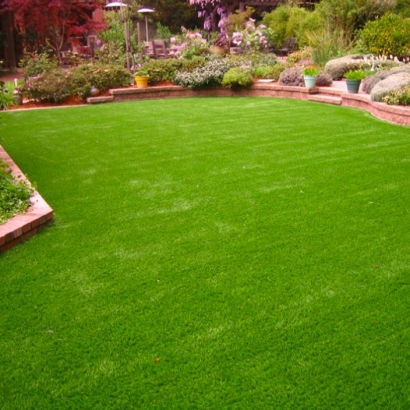 Artificial Turf in Scottsdale, Arizona