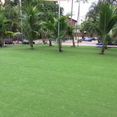 Artificial Grass in Rye, Arizona