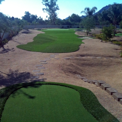 Artificial Grass in Seligman, Arizona