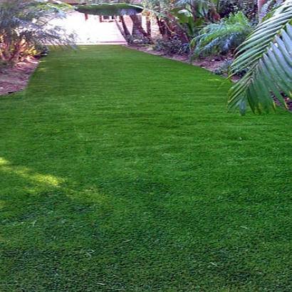 Home Putting Greens & Synthetic Lawn in Springerville, Arizona