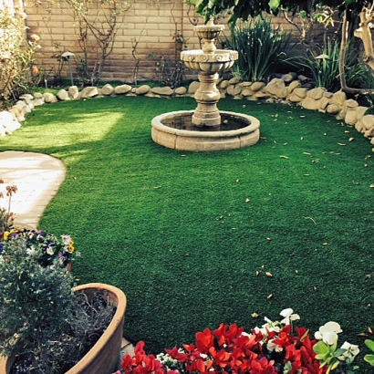 Artificial Turf in Pisinemo, Arizona