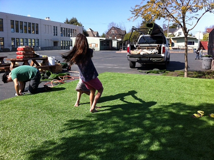 Artificial Grass Cactus Flat, Arizona Landscape Ideas, Commercial Landscape