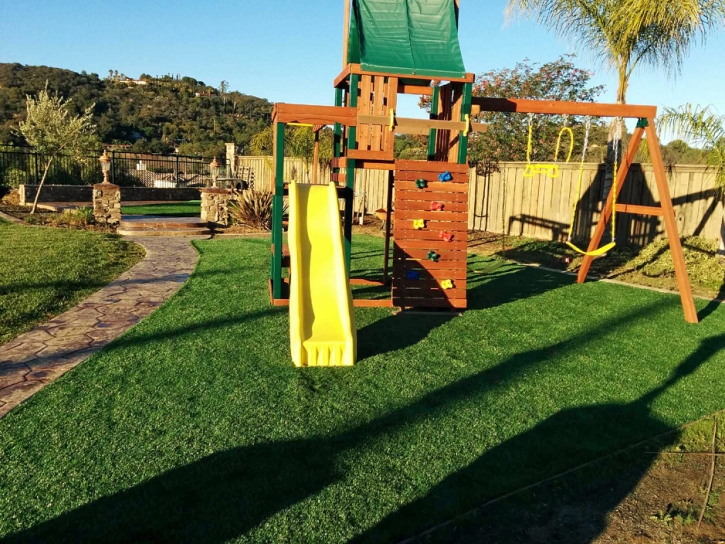 Artificial Grass Carefree, Arizona Backyard Playground, Backyard Landscape Ideas