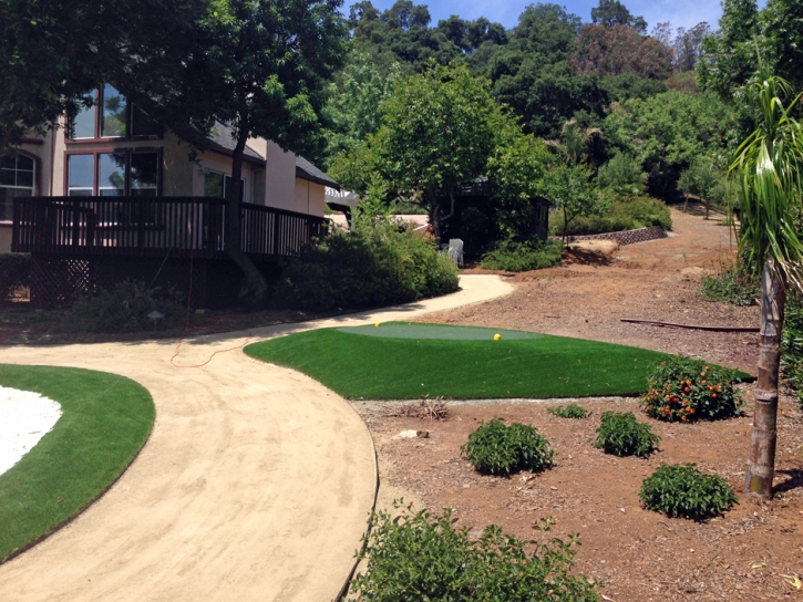 Artificial Grass Carpet Bowie, Arizona Landscape Photos, Front Yard Landscaping