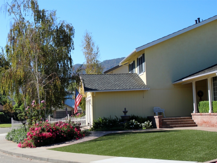 Artificial Grass Carpet Cave Creek, Arizona Landscape Rock, Front Yard Design