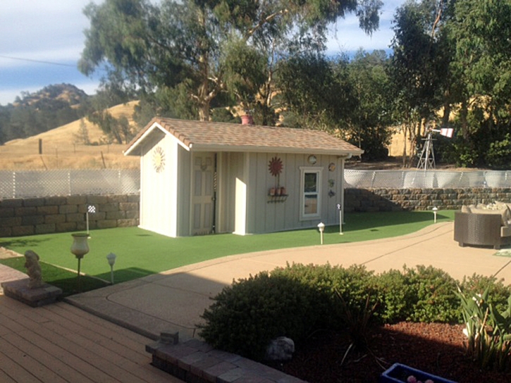 Artificial Grass Carpet Christopher Creek, Arizona Putting Green, Commercial Landscape