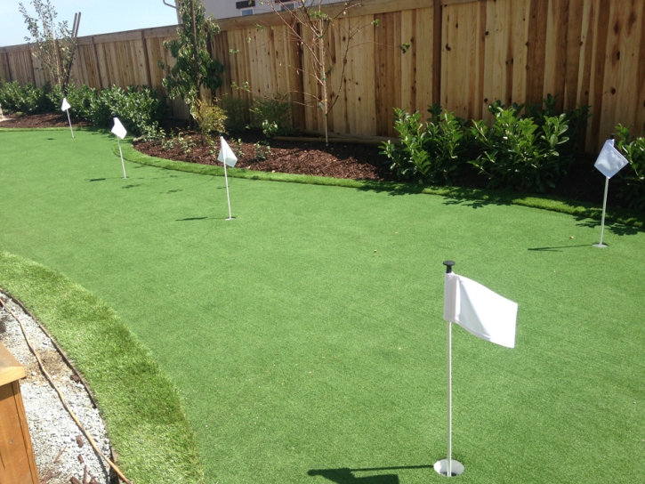 Artificial Grass Carpet Fort Apache, Arizona Diy Putting Green, Small Backyard Ideas