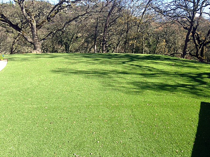 Artificial Grass Carpet Fredonia, Arizona Home And Garden, Recreational Areas