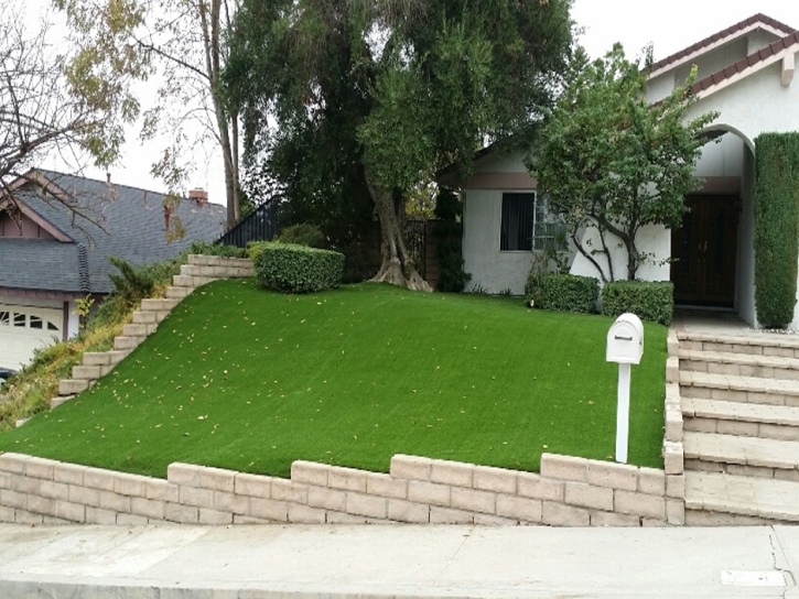 Artificial Grass Carpet Goodyear, Arizona Landscaping Business, Front Yard Landscaping Ideas