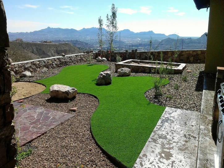 Artificial Grass Carpet Grand Canyon, Arizona City Landscape, Backyard Makeover