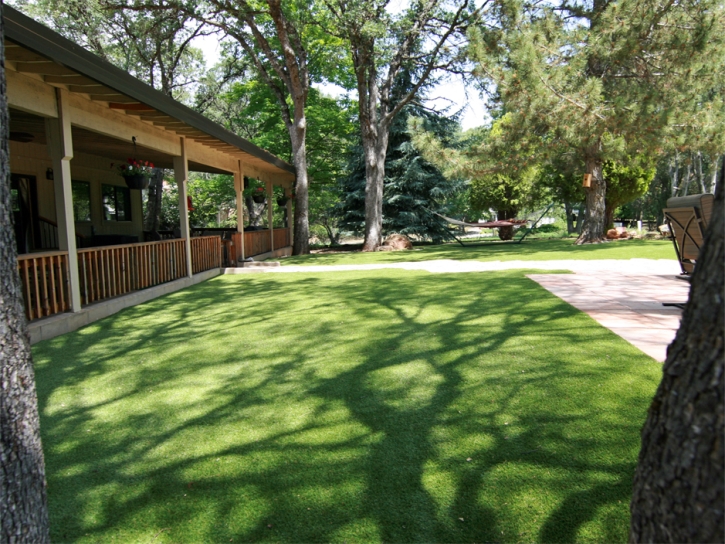 Artificial Grass Carpet Greer, Arizona Watch Dogs, Backyard Makeover