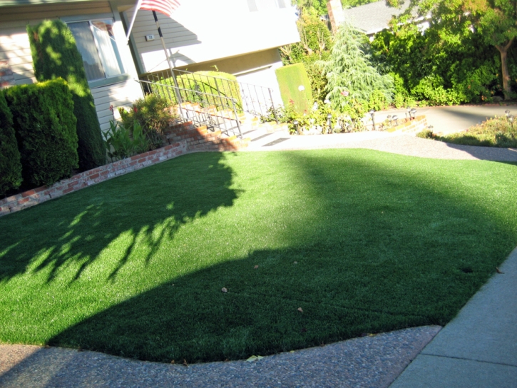 Artificial Grass Carpet Lake Montezuma, Arizona Landscaping, Front Yard